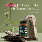 Gaia Herbs Echinacea Supreme capsules liquid phyto-cap technology