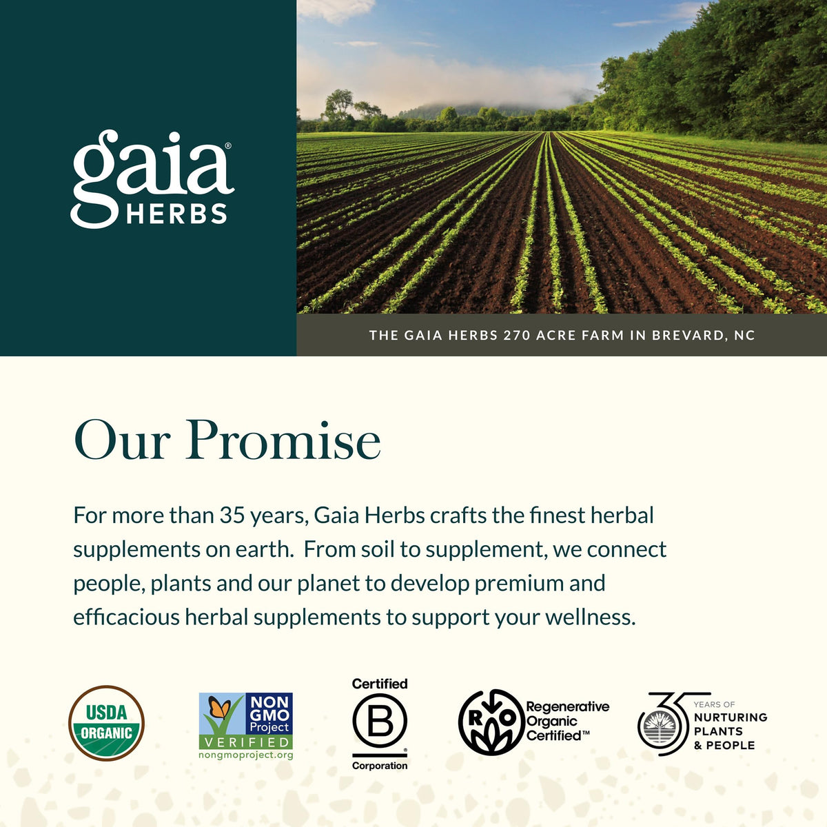 Grouped shot of Gaia Herbs Echinacea Supreme for immune health