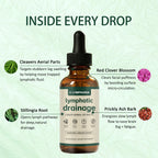 Lymphoria lymphatic system support tincture bottle