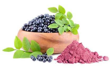 Rich purple anthocyanin antioxidant powder scoop next to the premium Jovvily herbal supplement packaging.