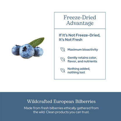 Eclectic Institute wildcrafted bilberry 450mg whole herb dietary supplement packaging