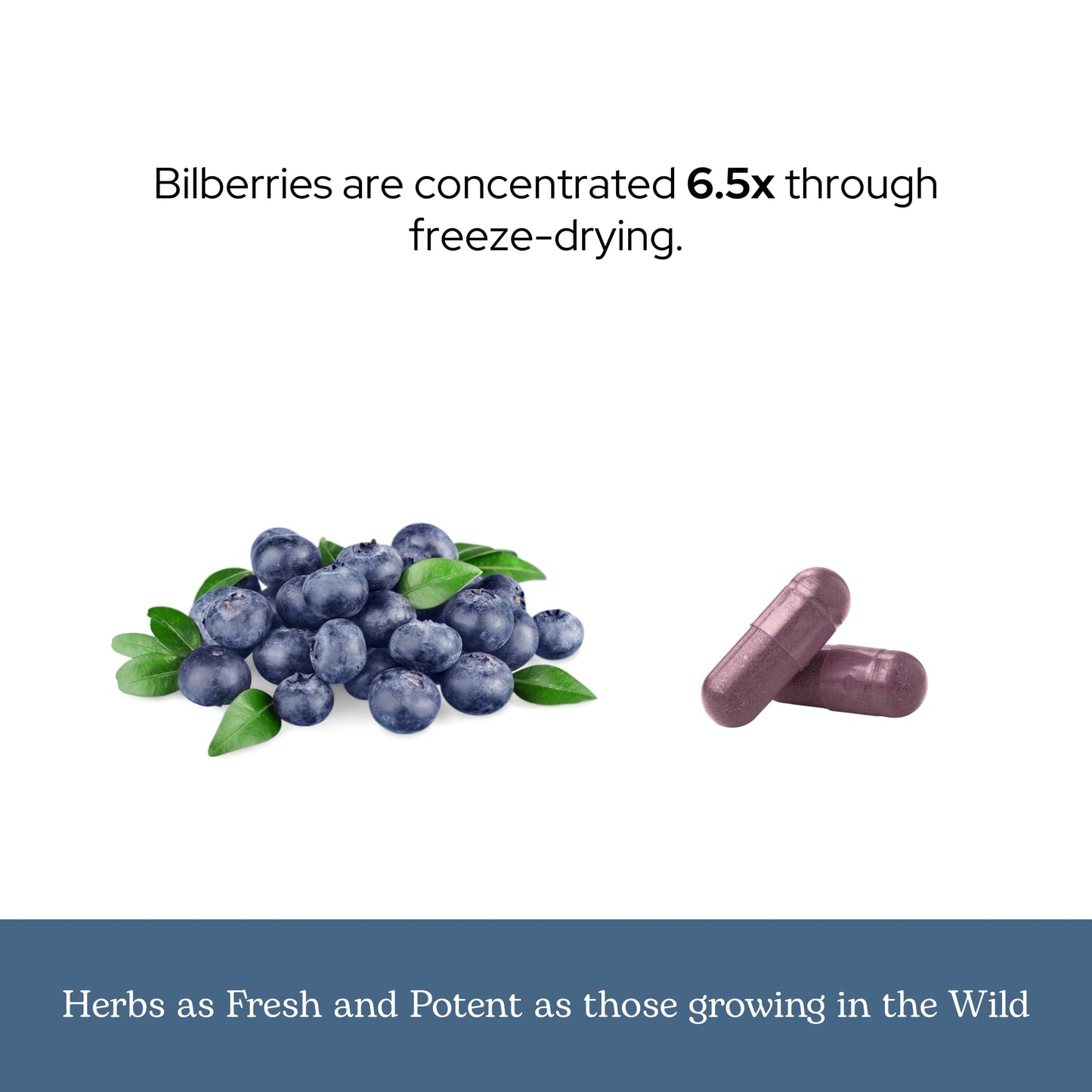 Vegan friendly gluten free bilberry 120 vegetarian capsules instructions panel