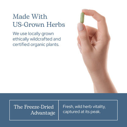 Eclectic Herb fresh freeze dried bilberry capsules for eye health overview