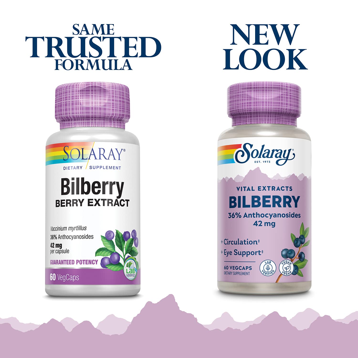 Solaray Bilberry Extract bottle showing standardized 36 percent anthocyanosides ingredient panel.