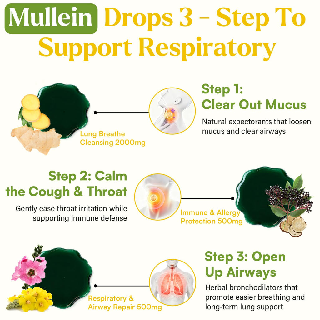 Liquid herbal Mullein drops for respiratory support