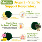 Liquid herbal Mullein drops for respiratory support
