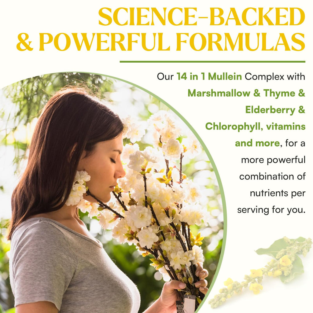 Muechaya 3 fluid ounce Mullein extract bottle