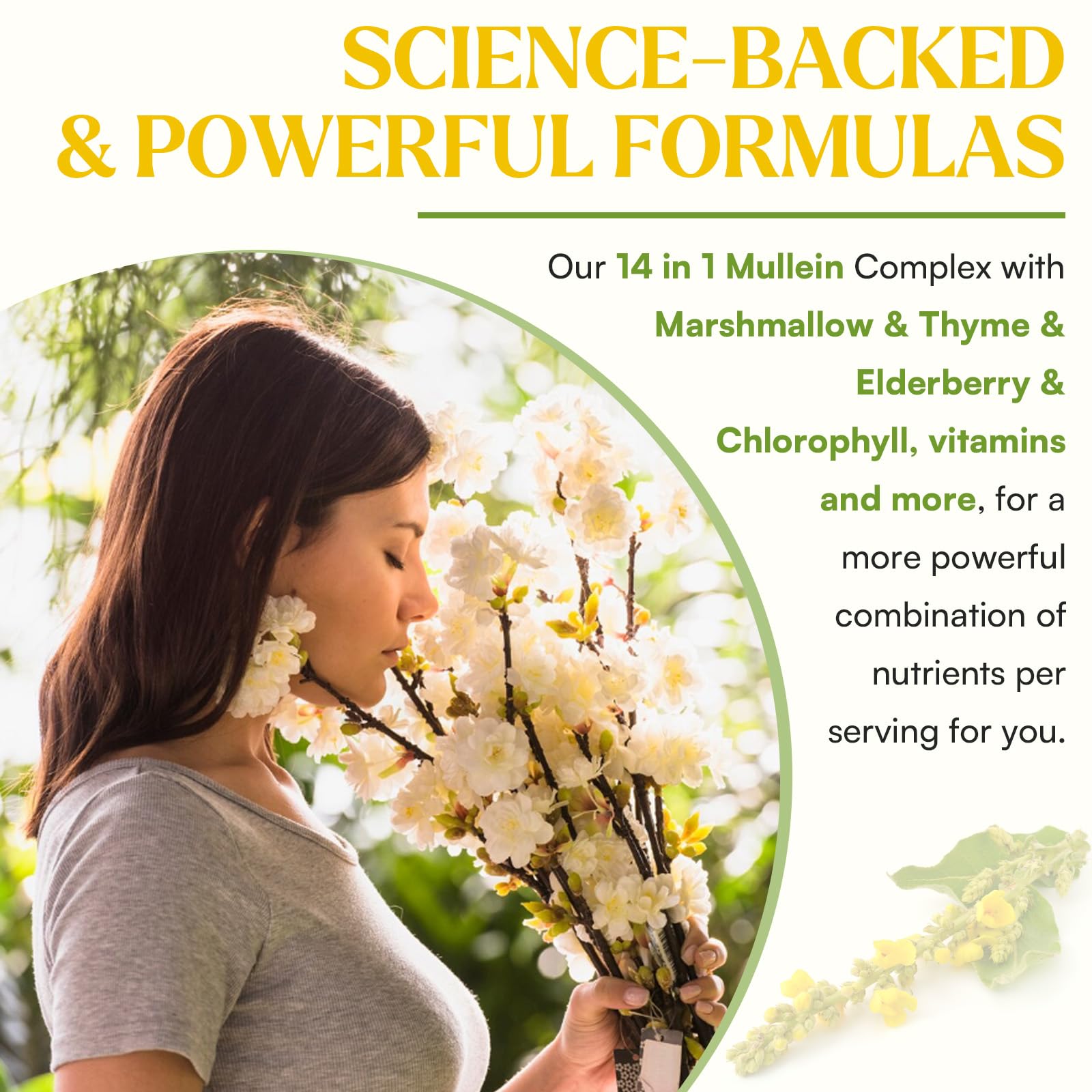 Muechaya 3 fluid ounce Mullein extract bottle