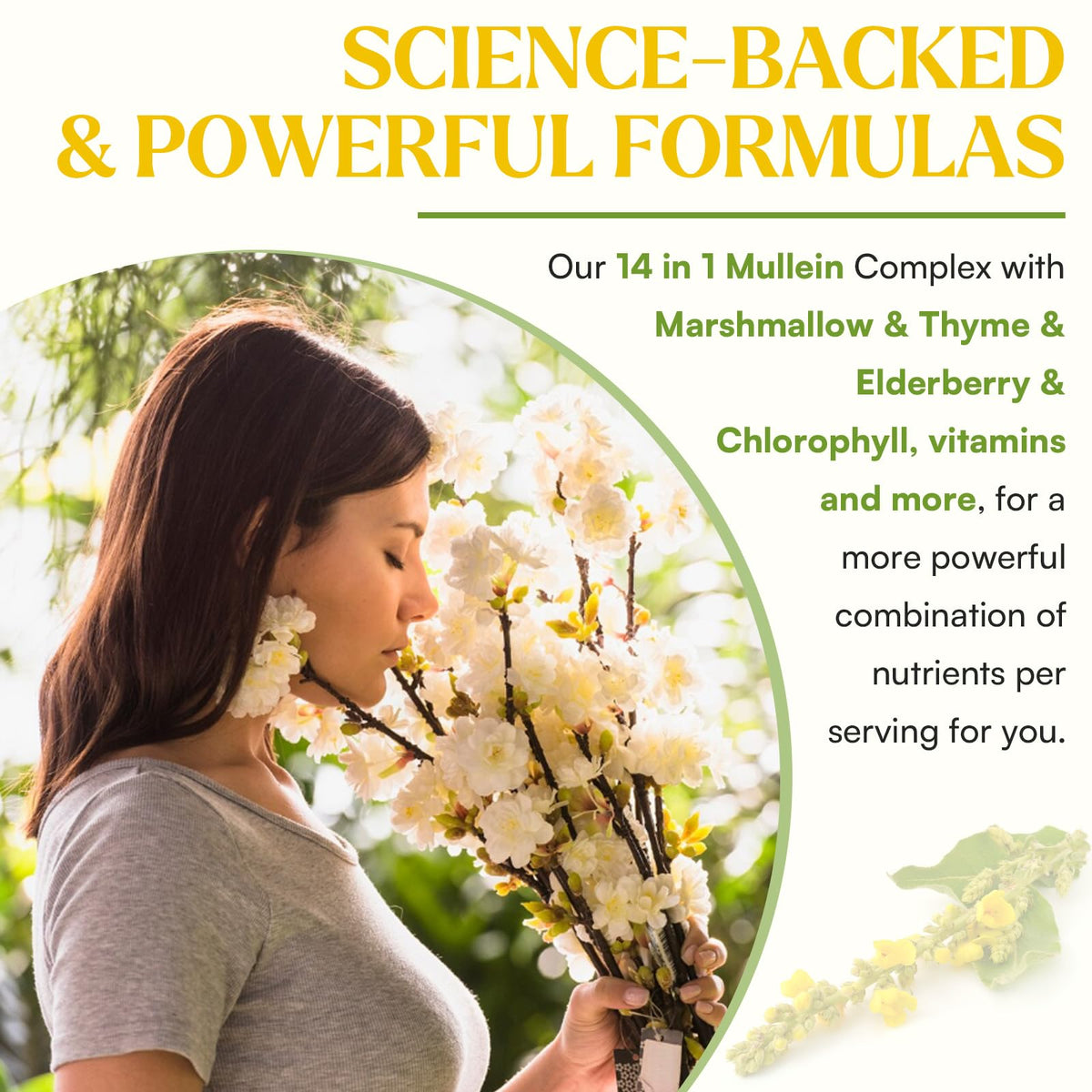Muechaya 3 fluid ounce Mullein extract bottle