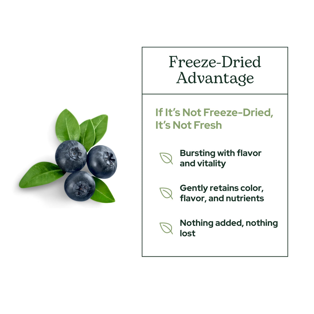 Concentrated freeze dried bilberry powder fine texture close up view