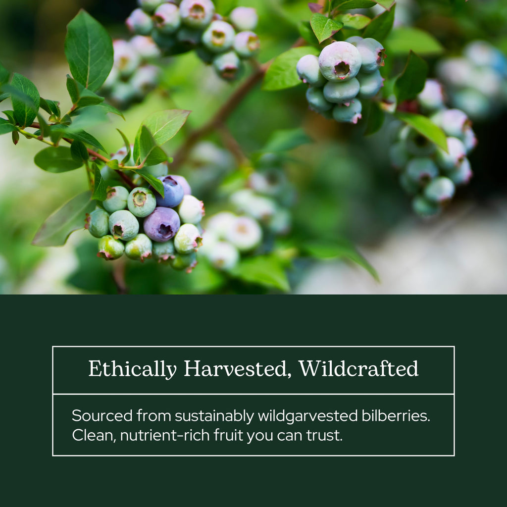 Eclectic Herb antioxidant supplement jar showcasing clean whole food ingredients