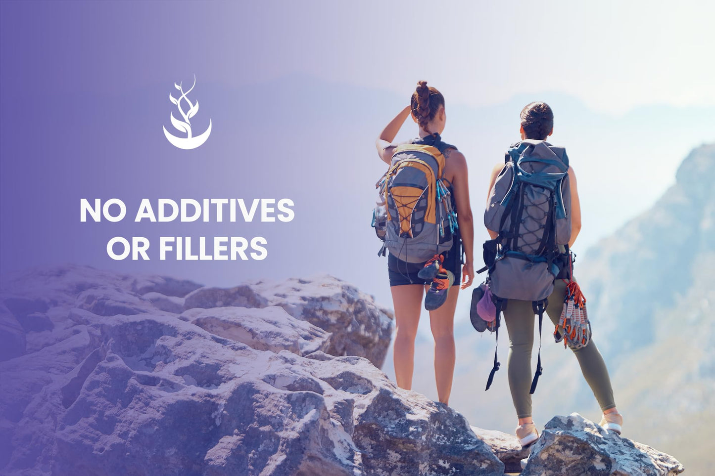 Pure Original Ingredients clean label Bilberry Extract for retinal wellness.