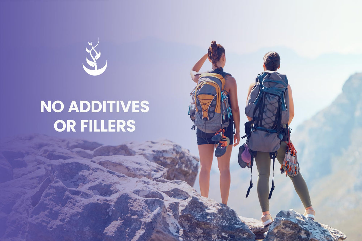 Pure Original Ingredients clean label Bilberry Extract for retinal wellness.