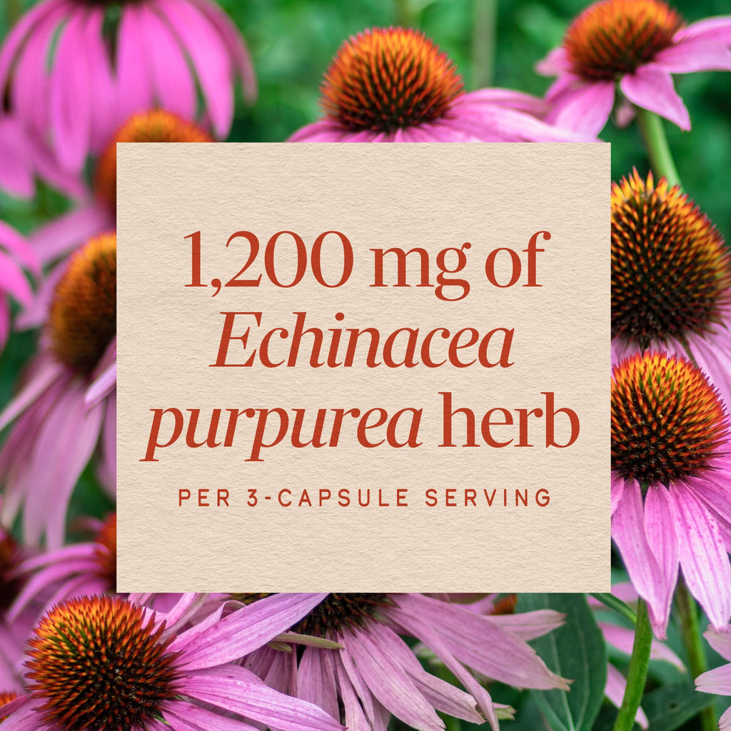 Side view of Nature's Way Echinacea herbal supplement packaging