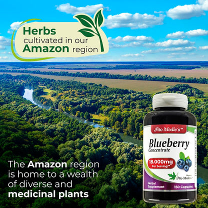 High absorption Fito Medics premium herbal supplement for brain health and memory enhancement