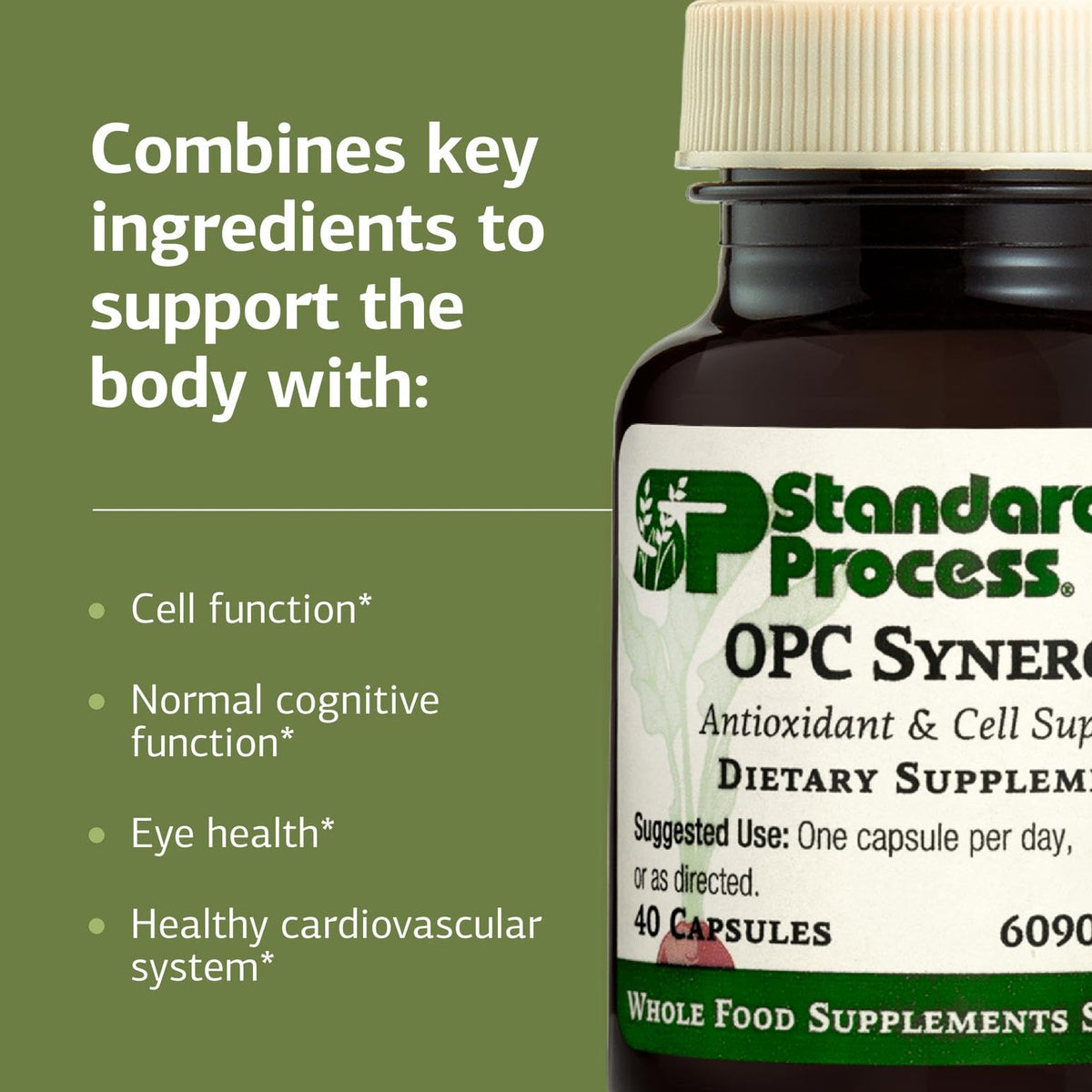 Top angle view of the Standard Process OPC Synergy dietary supplement bottle with secure safety seal.