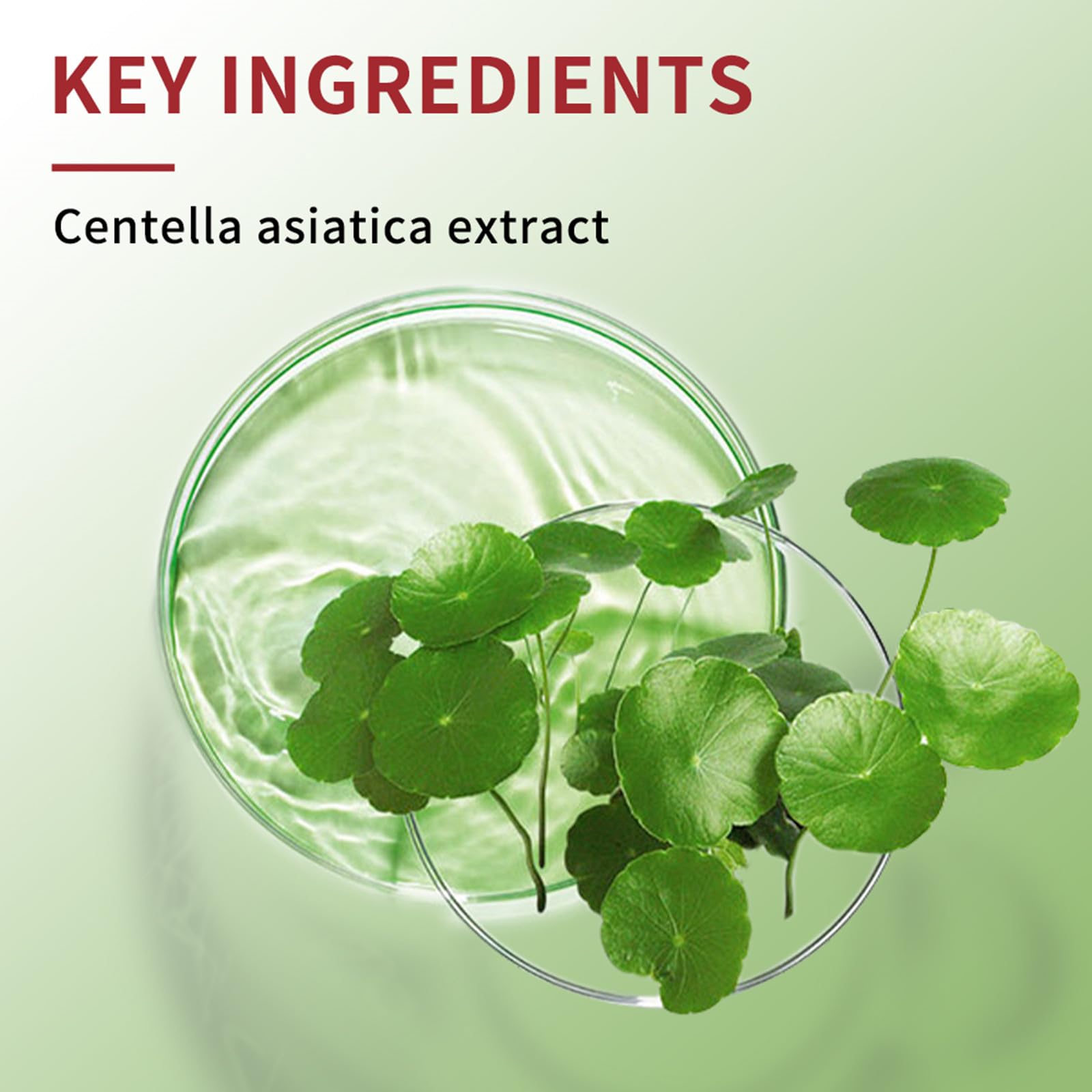 Pdtwq CC Cream bottle highlighting Centella Asiatica extract