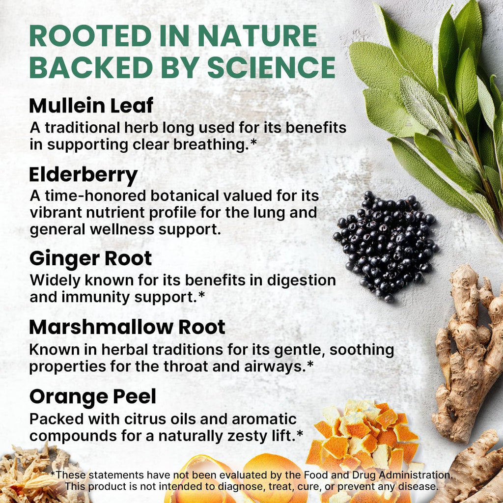 Side profile of PrimeMD Mullein Drops bottle showing ingredients