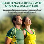 PrimeMD Mullein leaf extract dropper bottle