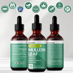 Close up of PrimeMD 5-in-1 herbal supplement bottle