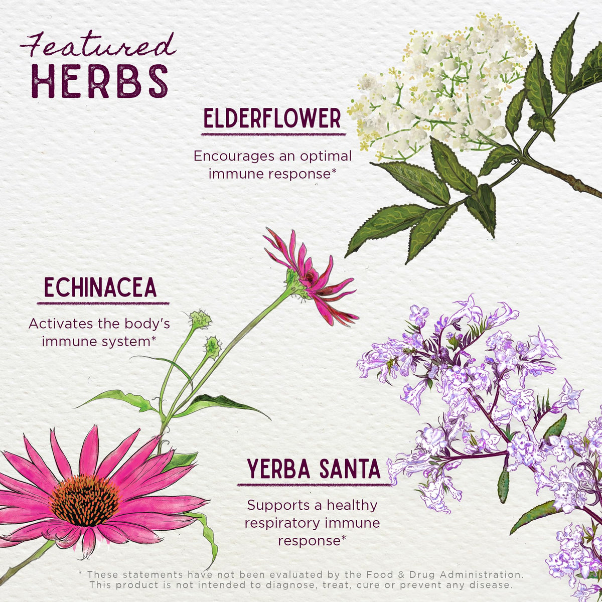 Close up of WishGarden Herbs label showing Echinacea and Goldenseal