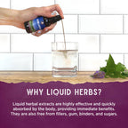 Bottle of WishGarden Herbs Kick-Ass Immune with dropper cap