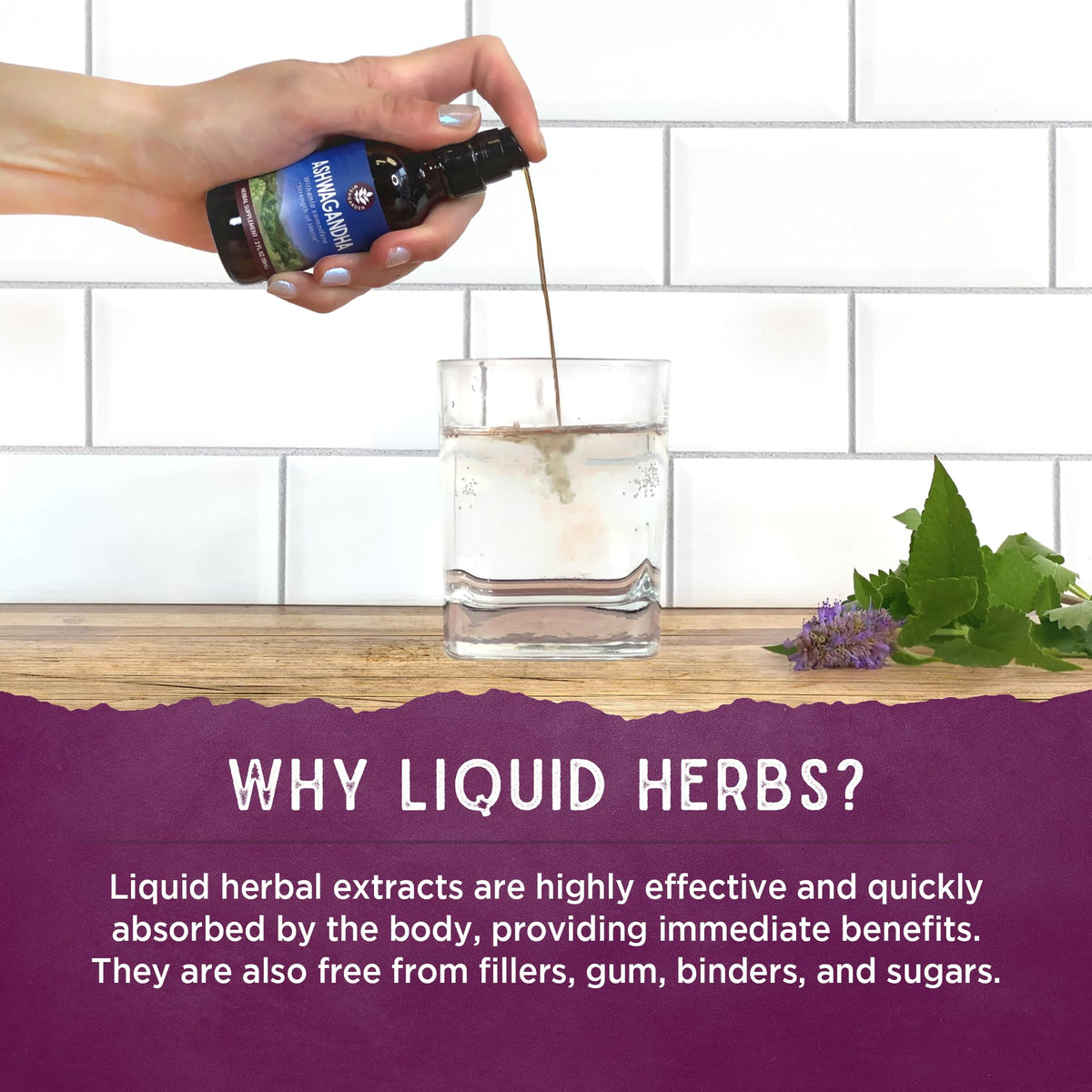 Bottle of WishGarden Herbs Kick-Ass Immune with dropper cap