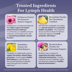 Nation Health MD Lymph MD side of bottle with nutritional facts