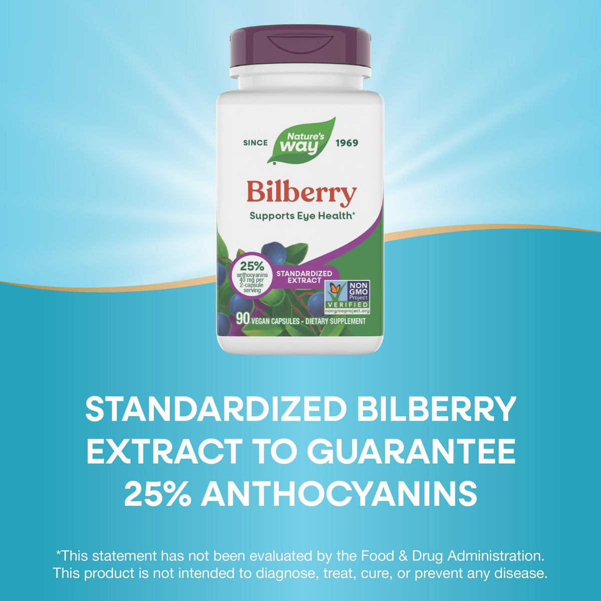 Nature's Way eye health capsules with black elderberry antioxidant protection info