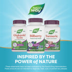 Nature's Way Bilberry 90 vegetarian capsules bottle side view with barcode information