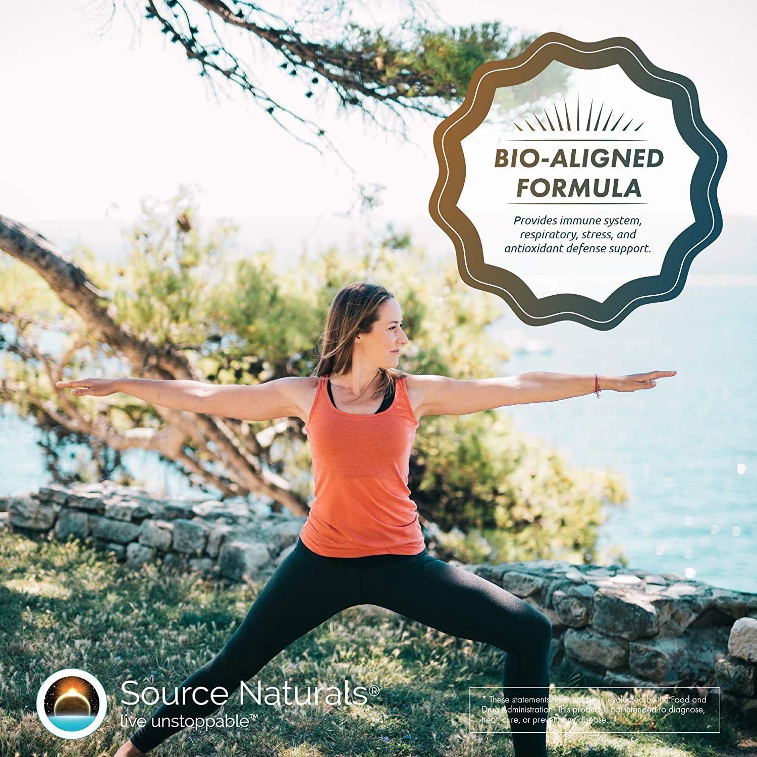 Source Naturals Wellness Formula capsule dosage information
