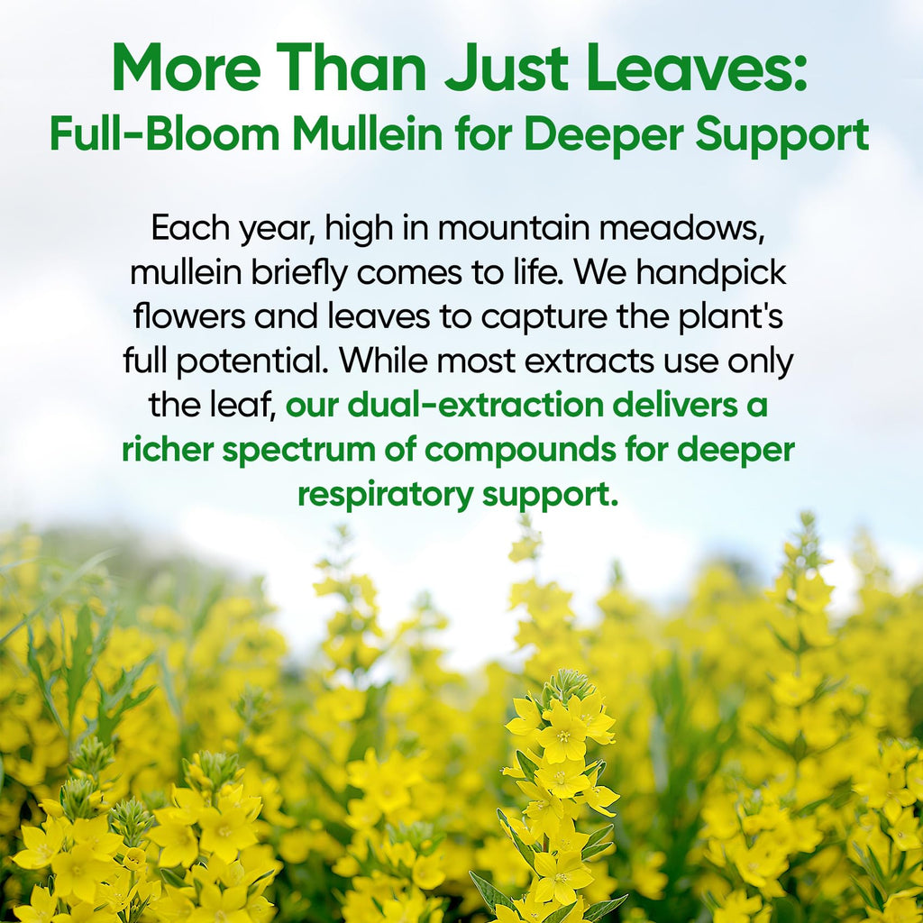 Fidus Mullein 7-herb respiratory complex bottle label details