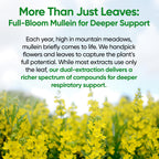 Fidus Mullein 7-herb respiratory complex bottle label details