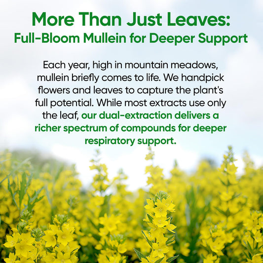Fidus Mullein 7-herb respiratory complex bottle label details