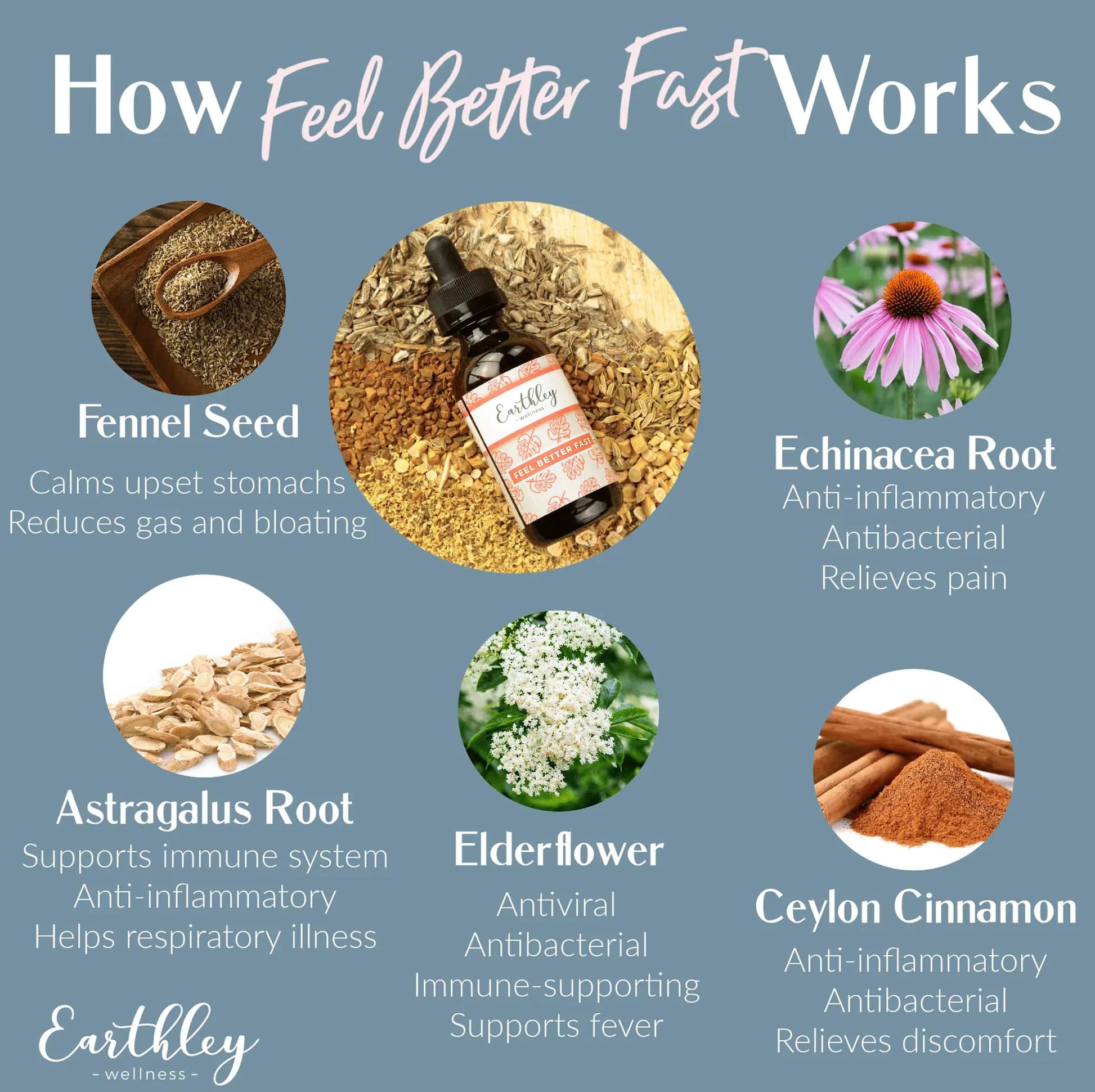 Earthley Feel Better Fast 1.69 fluid ounces dropper bottle