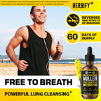 Herbify Mullein Drops packaging highlighting alcohol-free herbal ingredients.