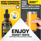 Authentic USA imported Herbify Mullein Lung Cleanse drops bottle.