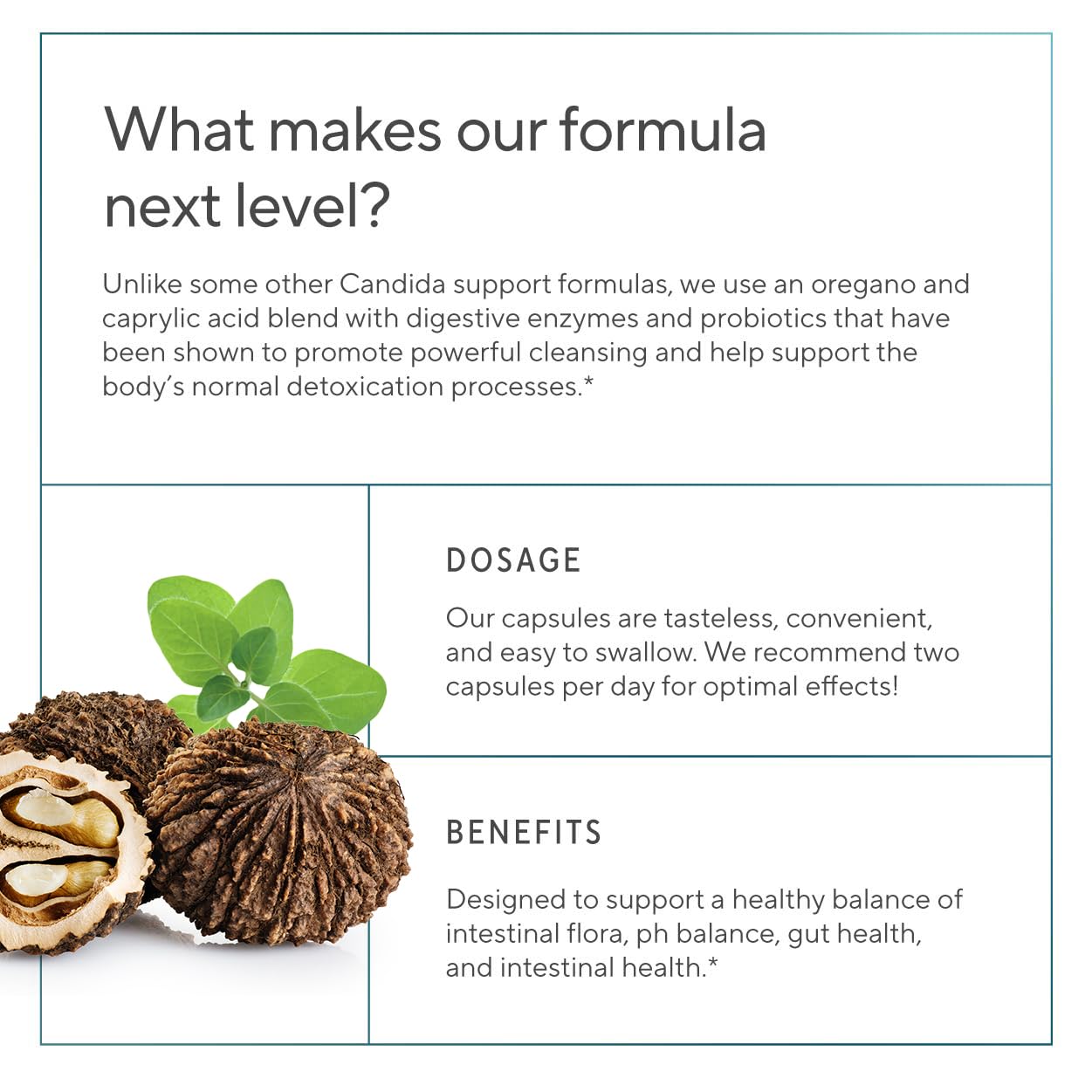 Sunergetic gut health complex bottle showcasing the premium blend for intestinal flora balance