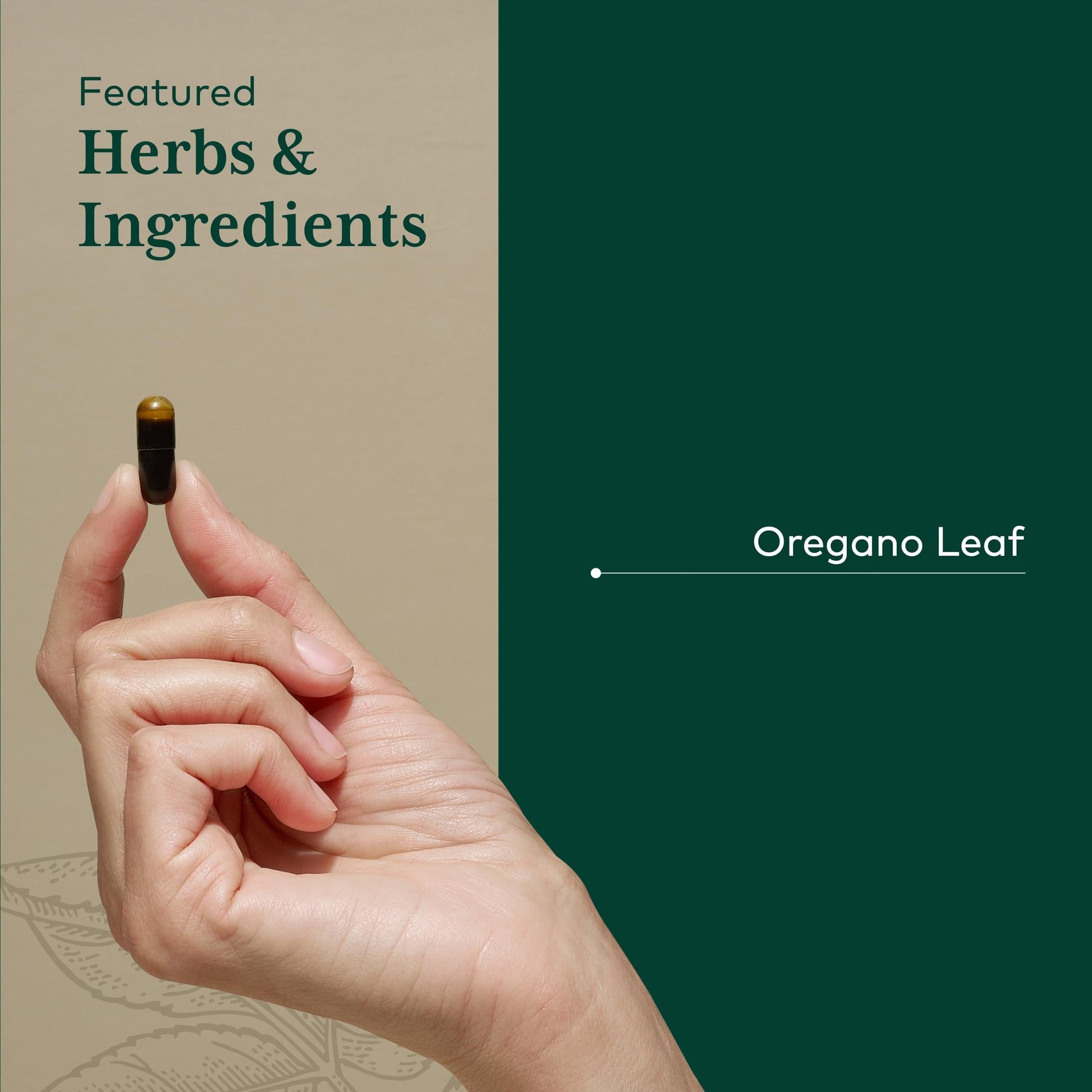 Close up view of the vegan liquid phyto caps from Gaia Herbs showing clear concentrated herbal extract