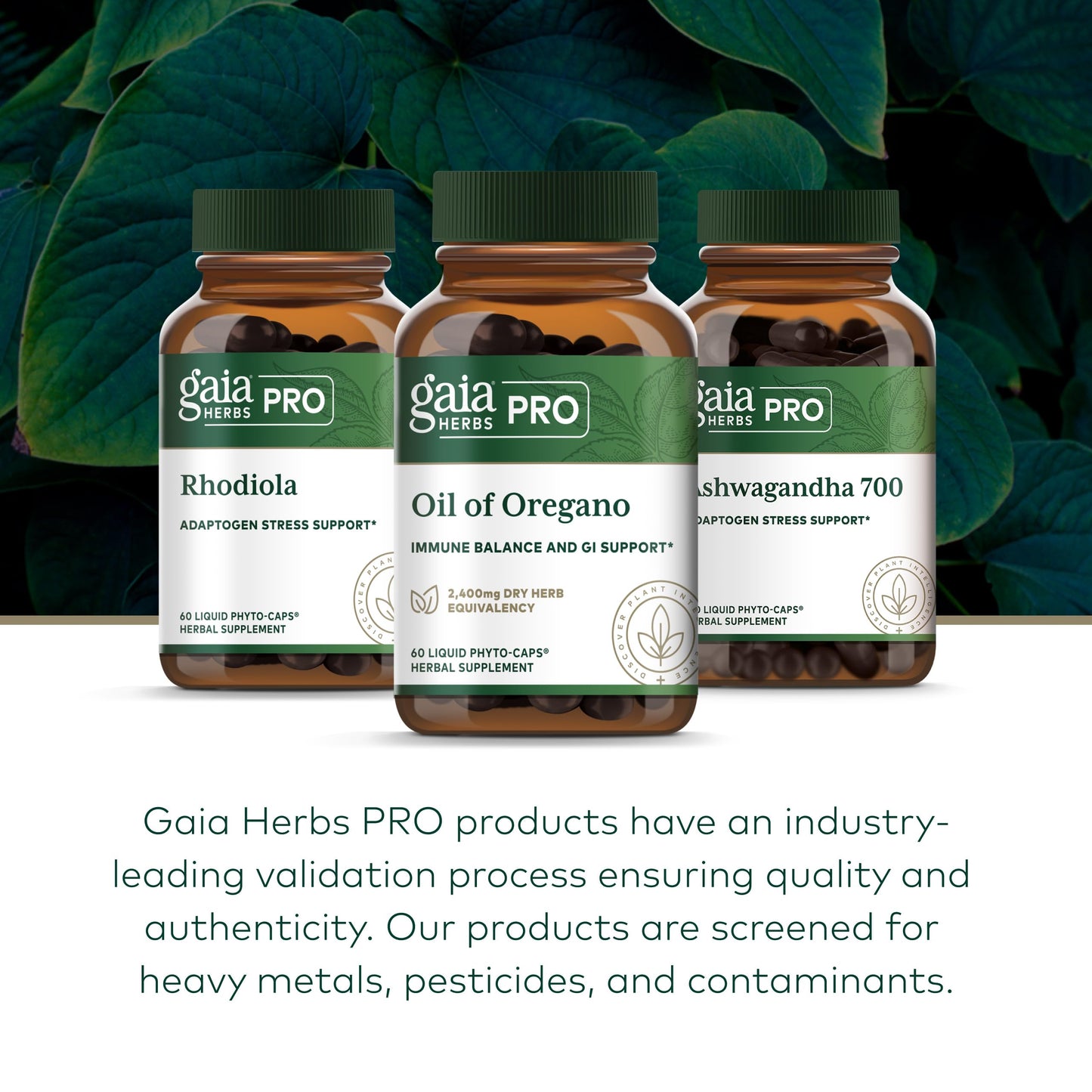 Gaia Herbs Pro Oil of Oregano packaging showcasing the regenerative organic sourcing certification text