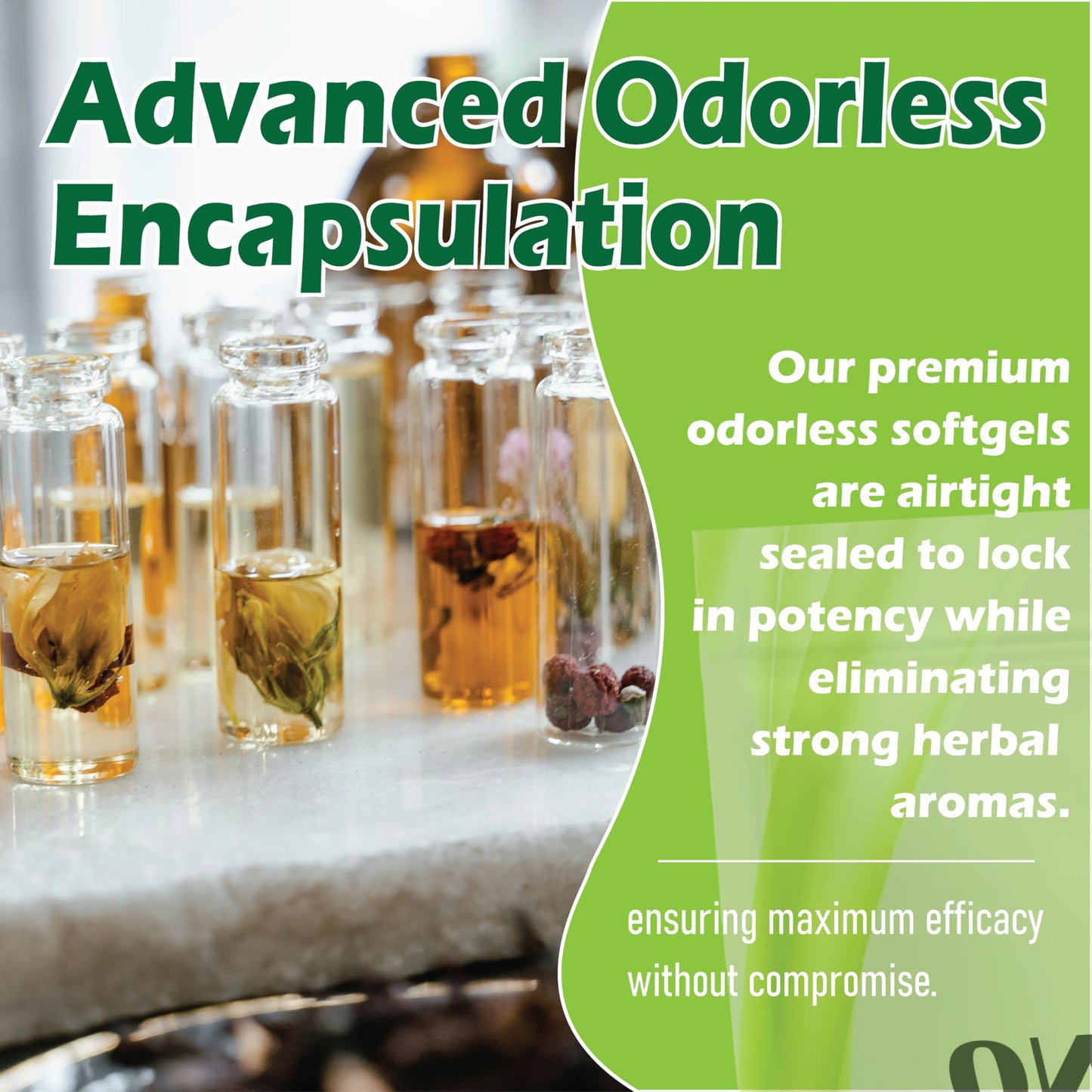 Resilia non-GMO gluten-free oregano extract capsules nutritional information panel
