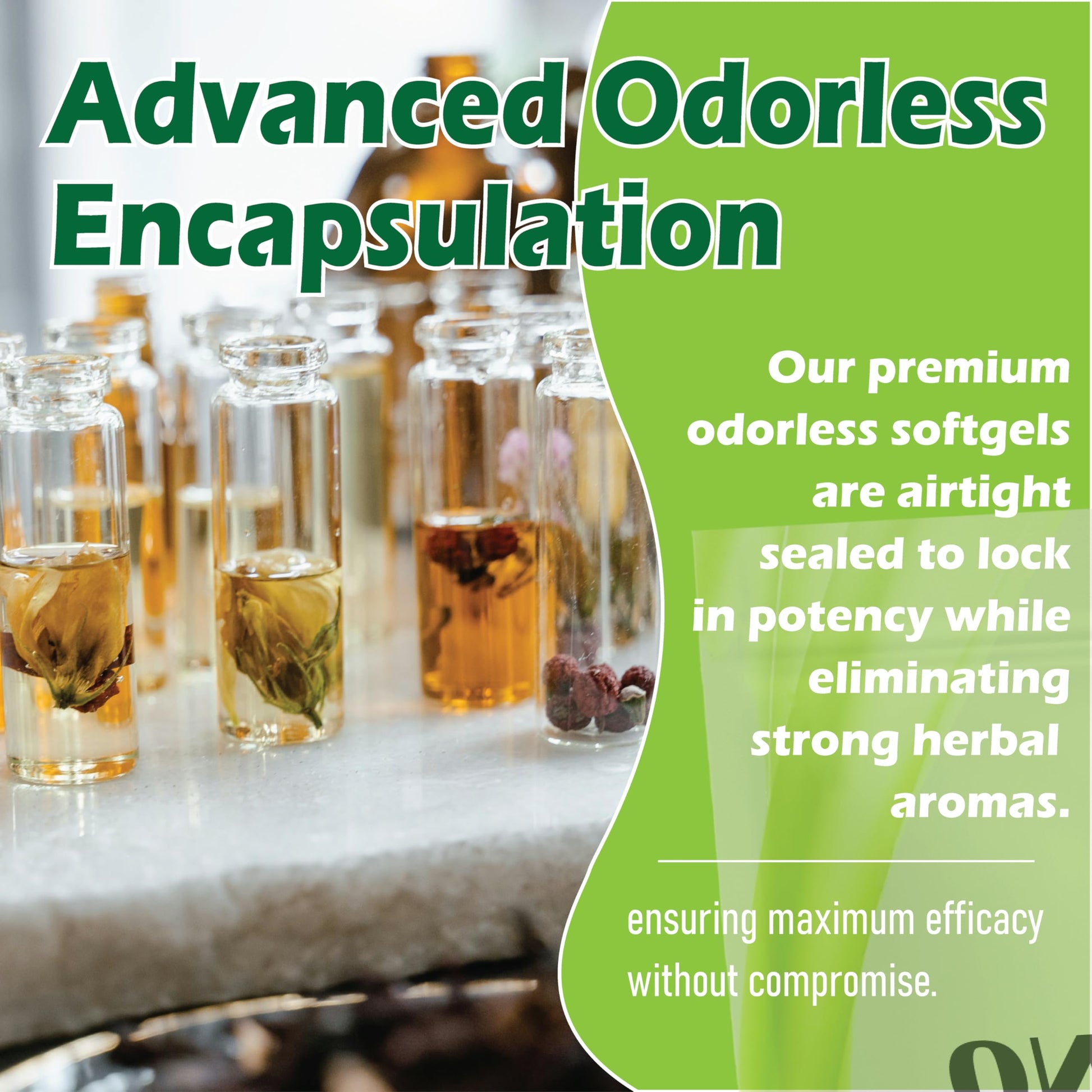 Resilia non-GMO gluten-free oregano extract capsules nutritional information panel