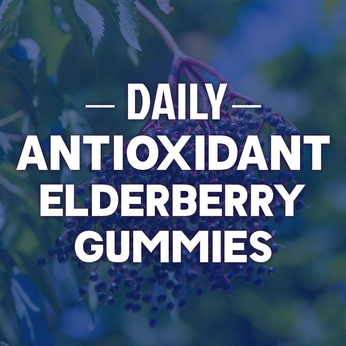 Nature's Nutrition Sambucus elderberry supplement bottle highlighted from a side angle for daily wellness use