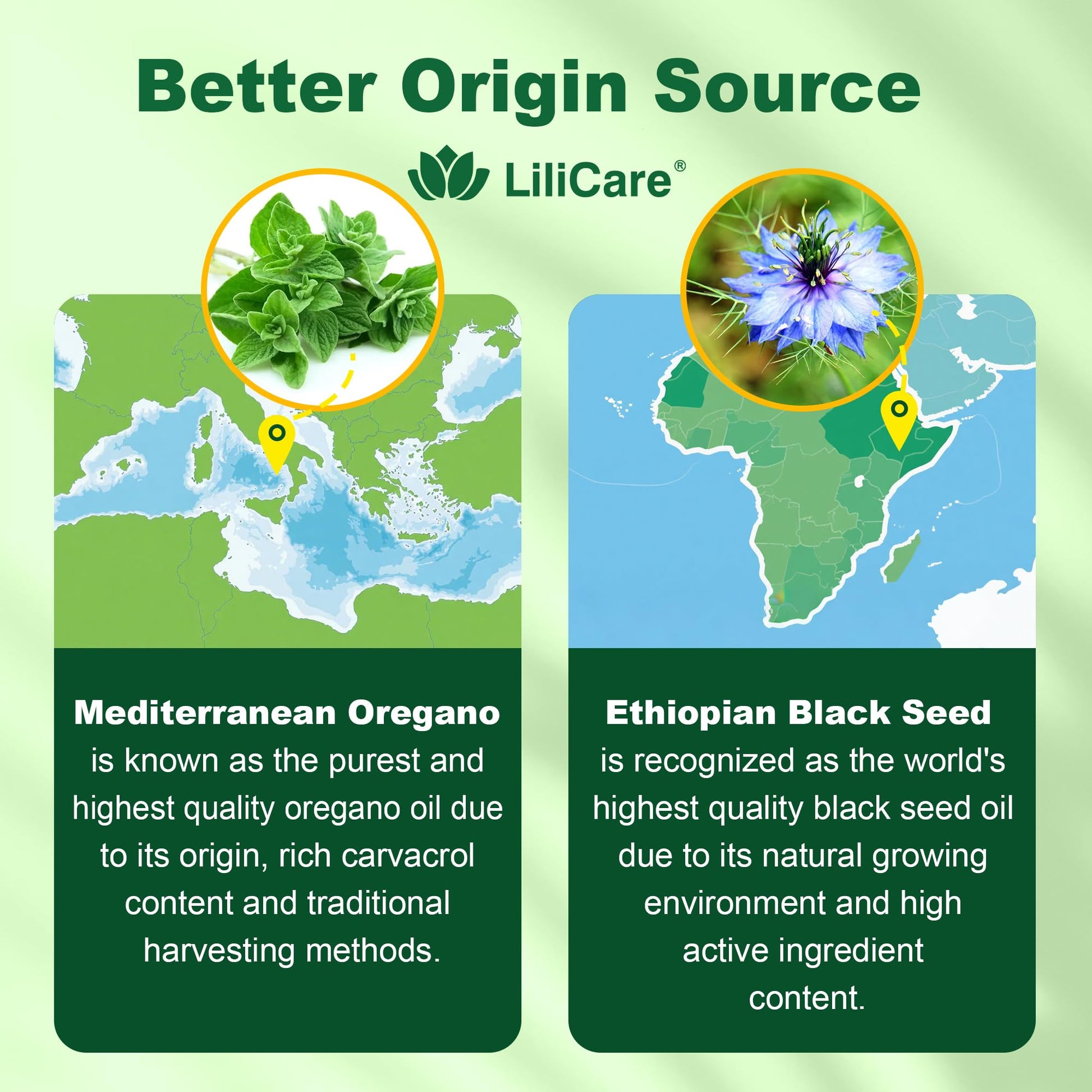 Lilicare black seed oil and oregano liposomal gummies bottle with authentic seal visible