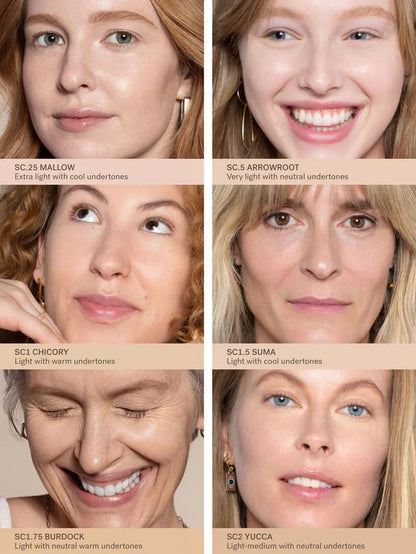 Imported USA skincare infused makeup concealer cream