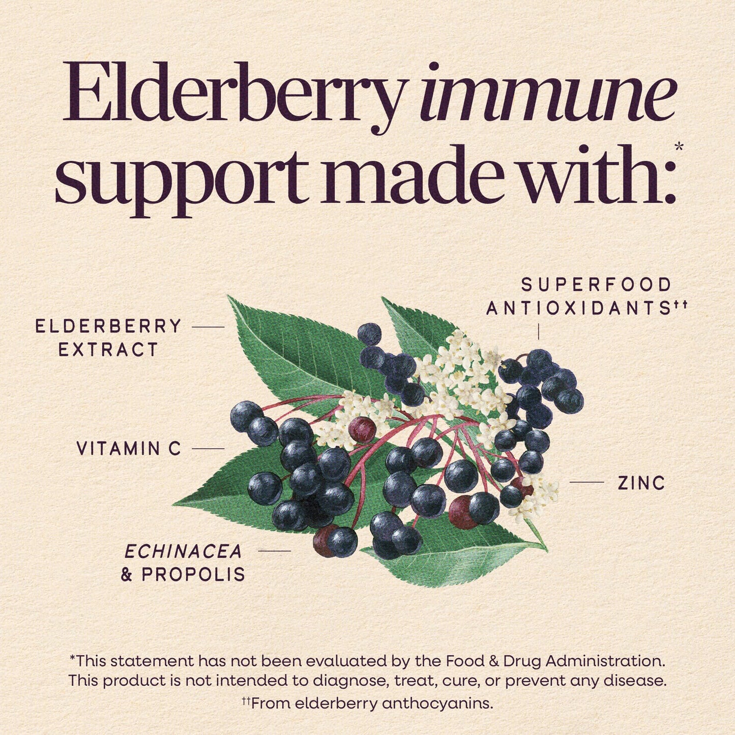 Nature's Way Sambucus elderberry syrup liquid texture
