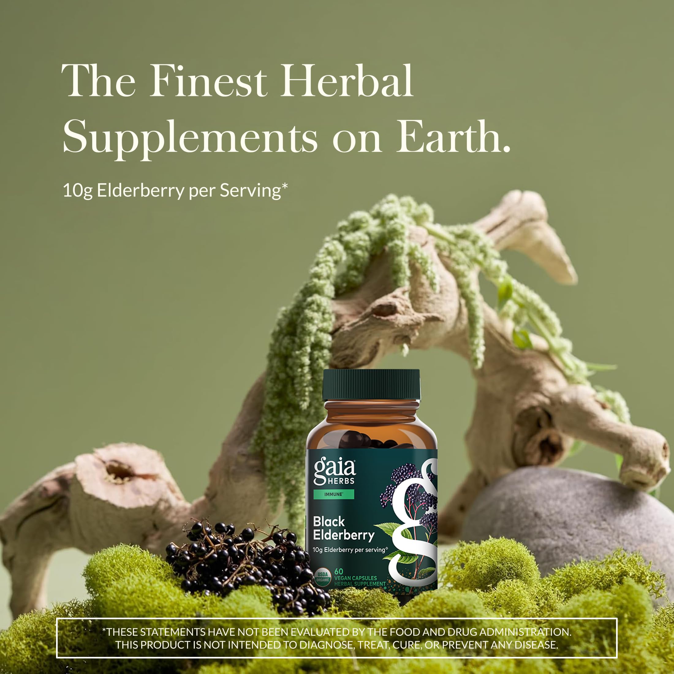 Organic black elderberry capsules supplement facts label
