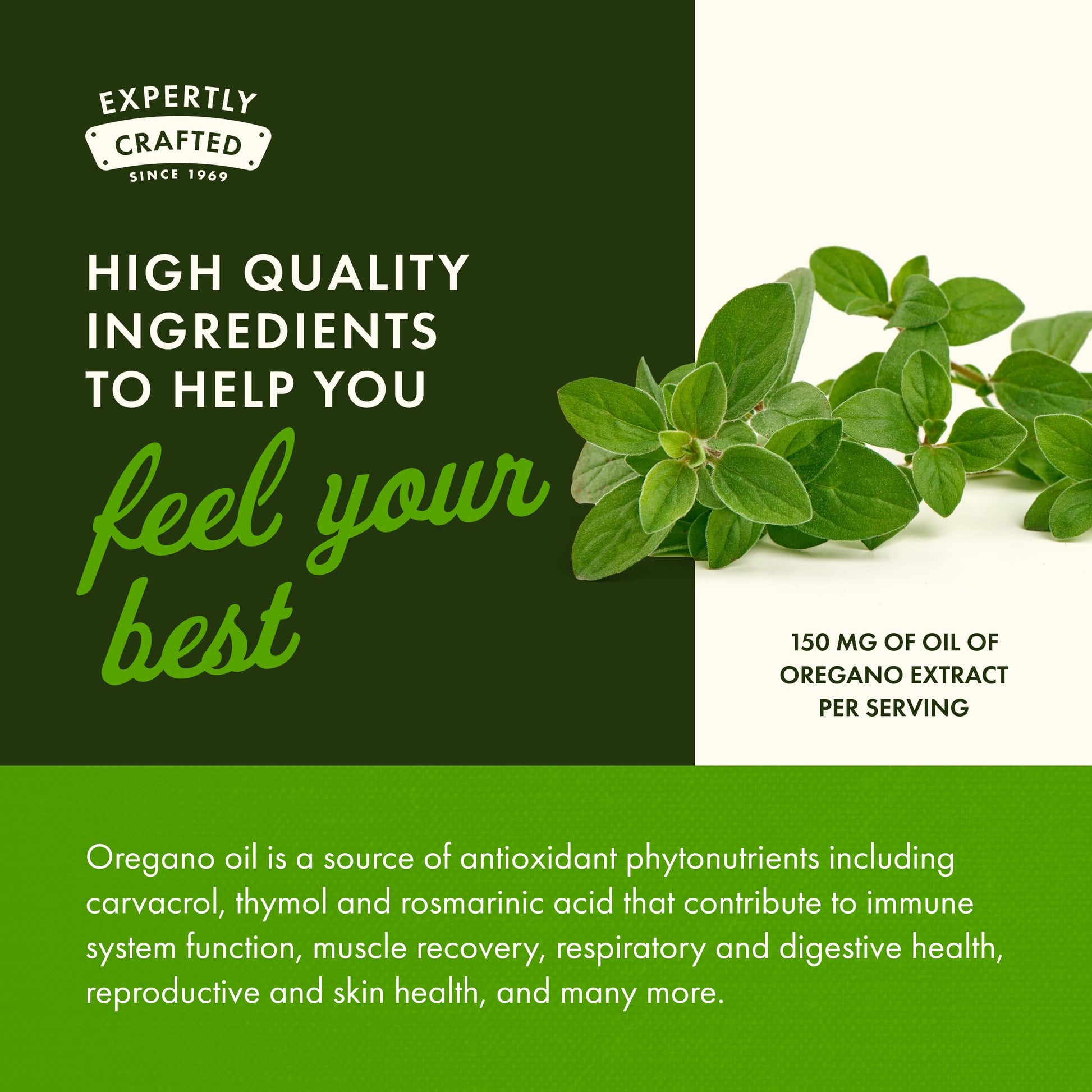 Swanson Oregano Oil liquid softgels showing olive oil base ingredient label