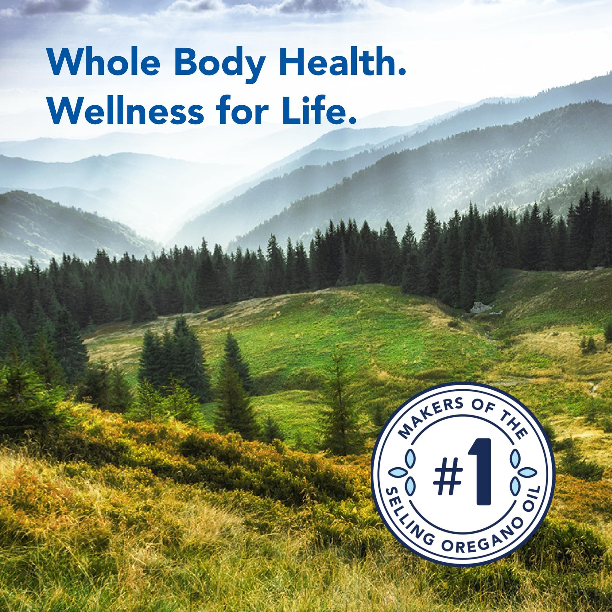 Unprocessed full spectrum wild oregano oil dietary supplement from Mediterranean mountain sources