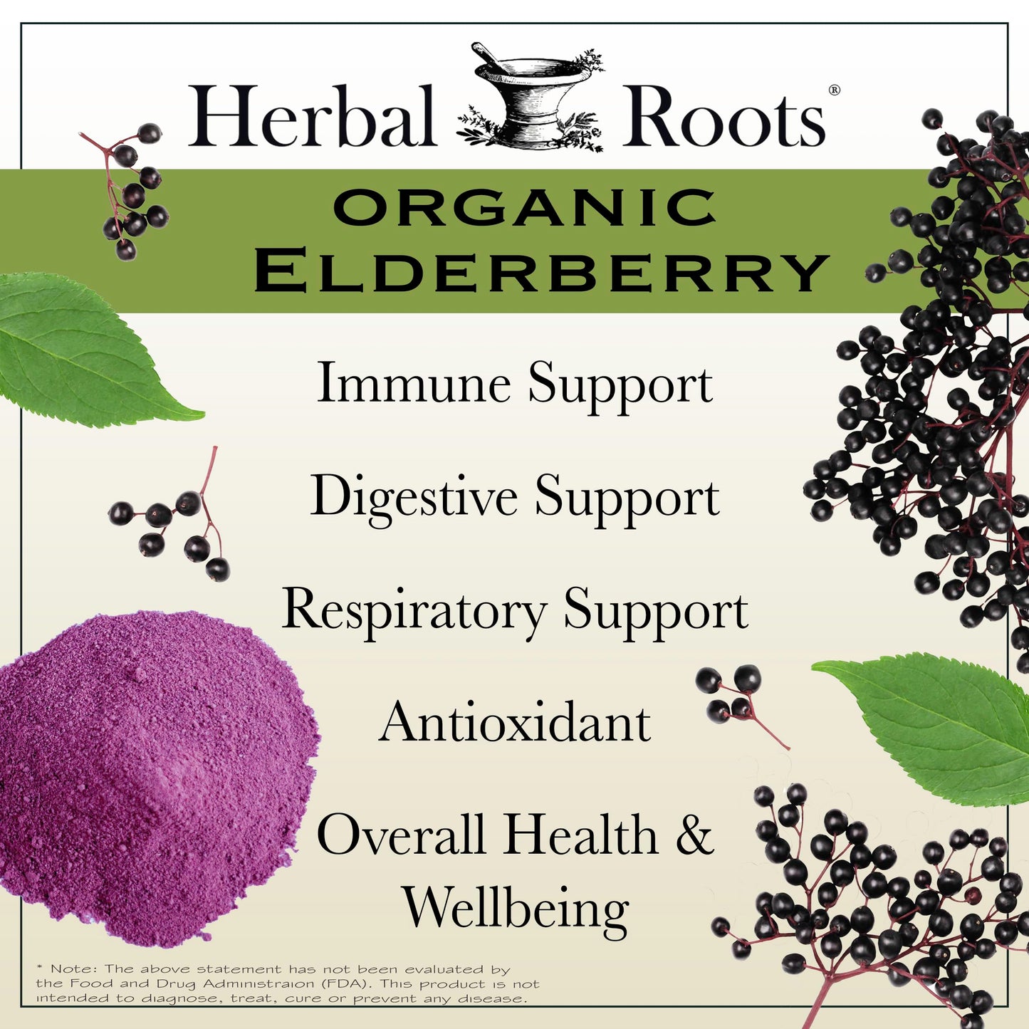 Premium USA imported black elderberry antioxidant supplement bottle for cold and flu defense.